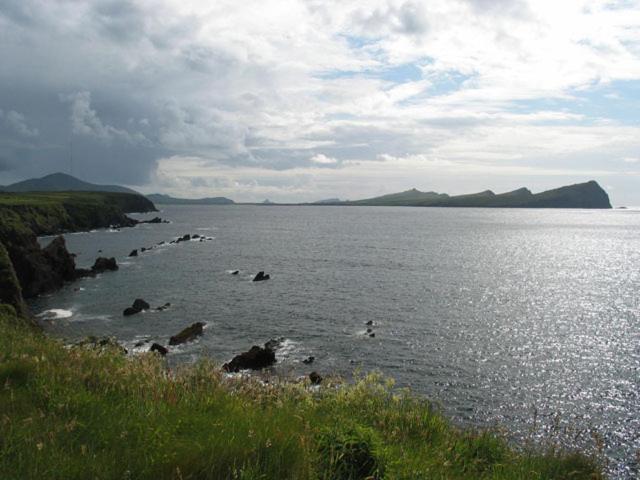 Coill An Rois B&B Ballydavid Exteriér fotografie