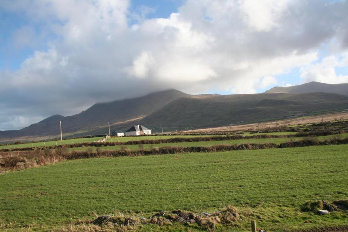 Coill An Rois B&B Ballydavid Exteriér fotografie